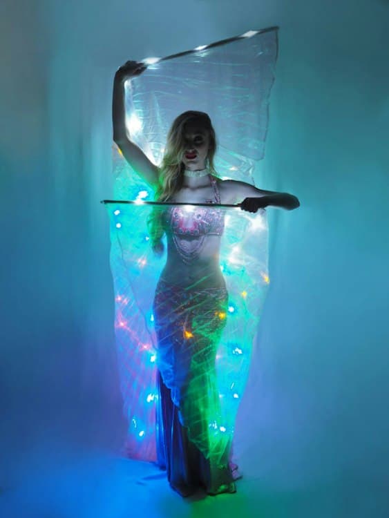 Belly Dance Add On: LED Wings