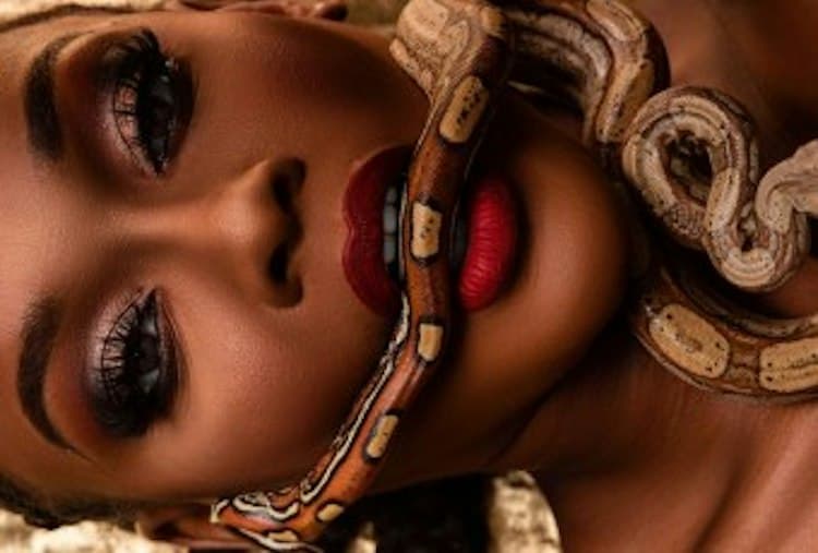 Exotic Reptile Rental