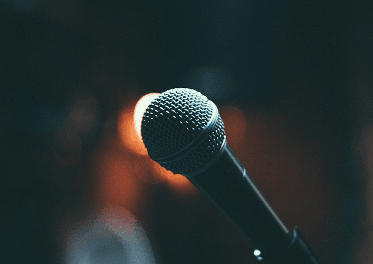 Wireless Microphones (2)