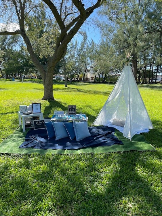 Luxury Picnic For 2 Guests